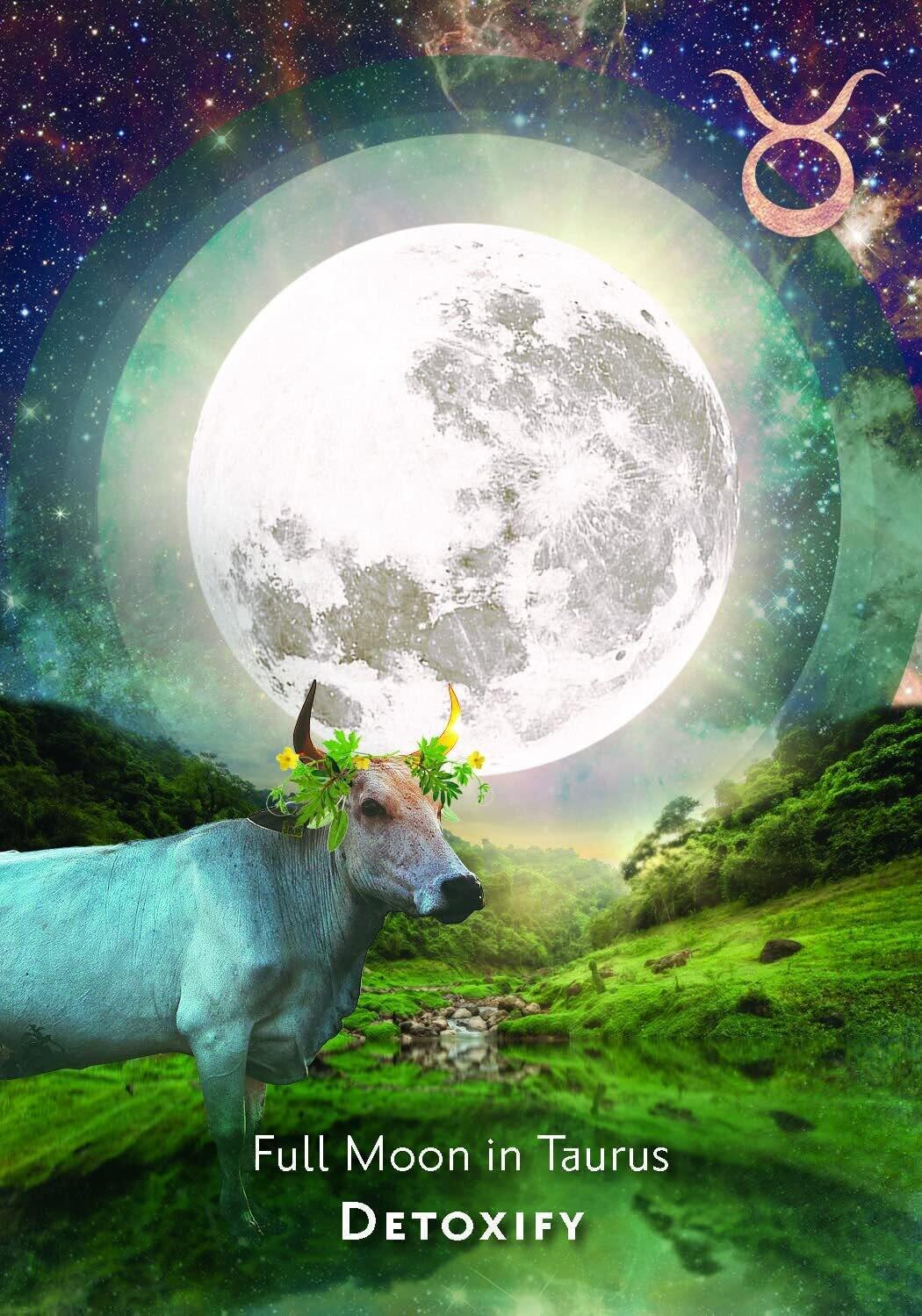 Astrologinės kortos „Moonology Manifestation"