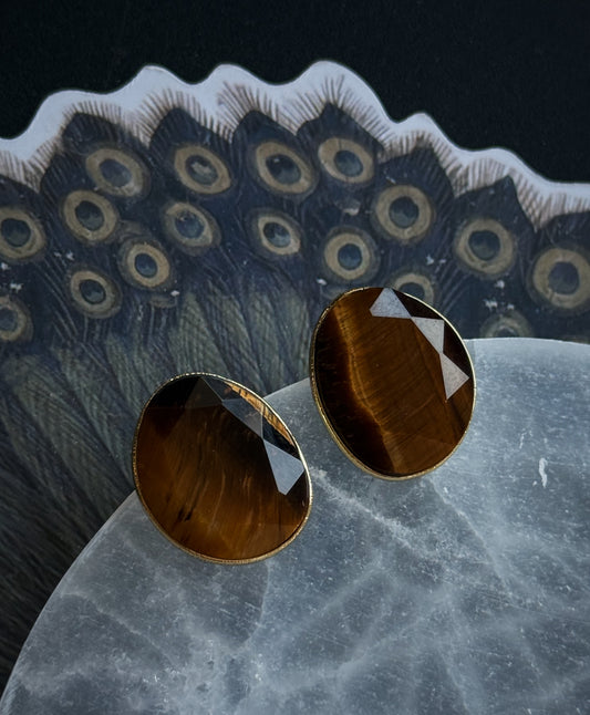 Auskarai su tigro akies kristalais