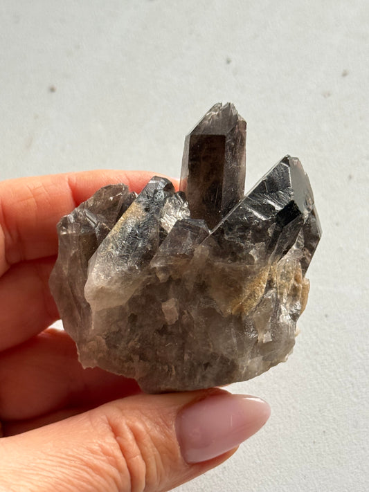 Dūminio kvarco Drūza