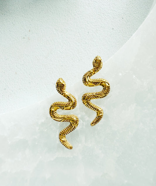 Gyvatėlių Auskarai