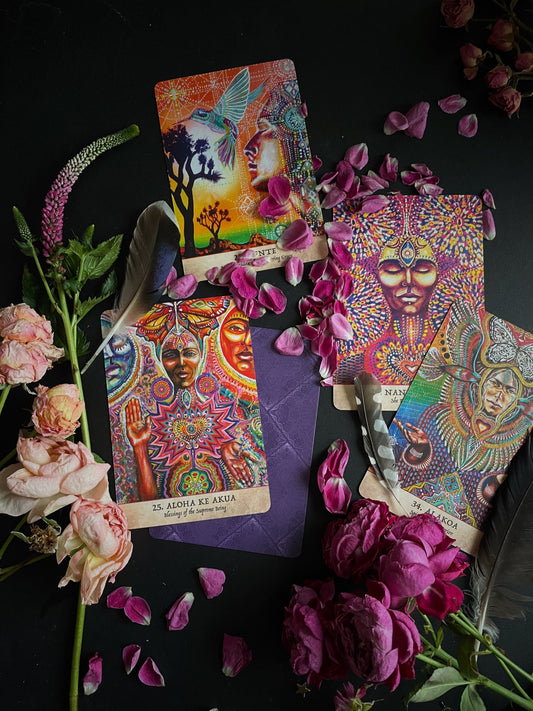 Šamaninės kortos „Earth Warriors Oracle"