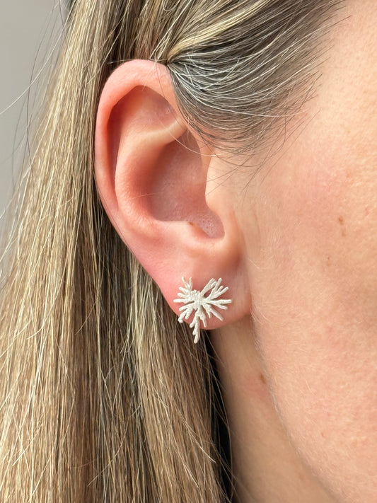 Sidabriniai auskarai “Žvaigždės gimimas”