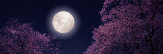 Mėnulio pilnatis Ožiaragio Zodiake. Pa(si)tikrinimas.