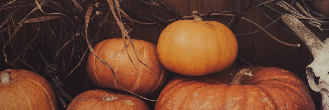 Lapkričio dangus: tamsos virsmas vidine šviesa