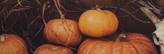 Lapkričio dangus: tamsos virsmas vidine šviesa