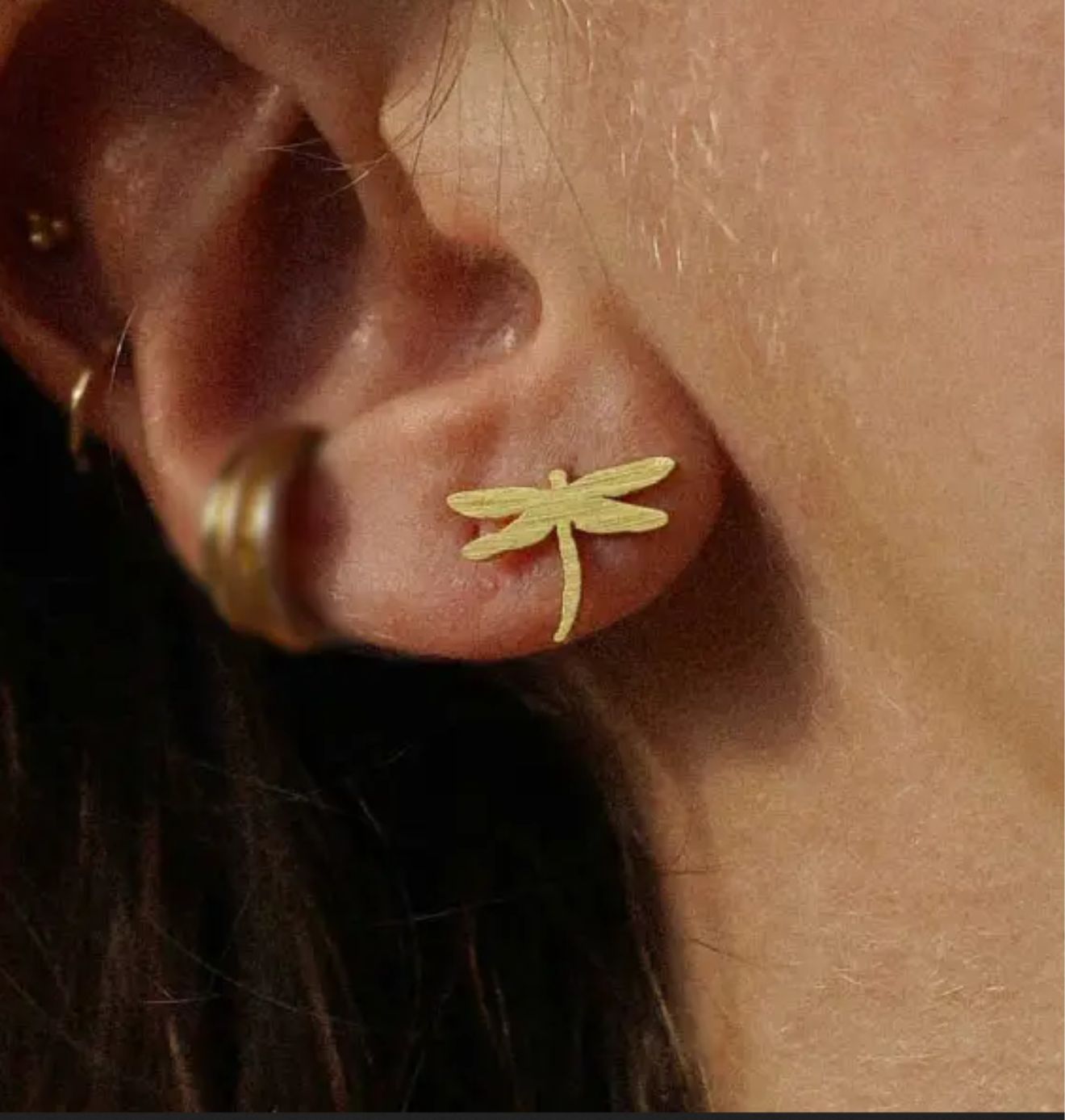 Auskarai "Laumžirgiai"