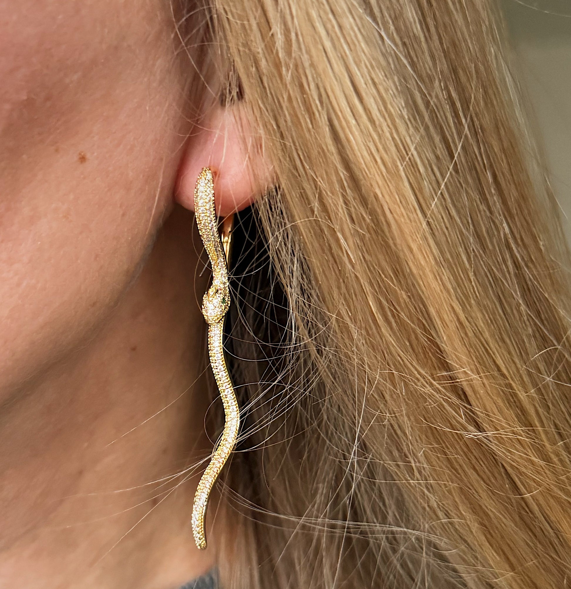 Auskarai "Pokyčio energija"