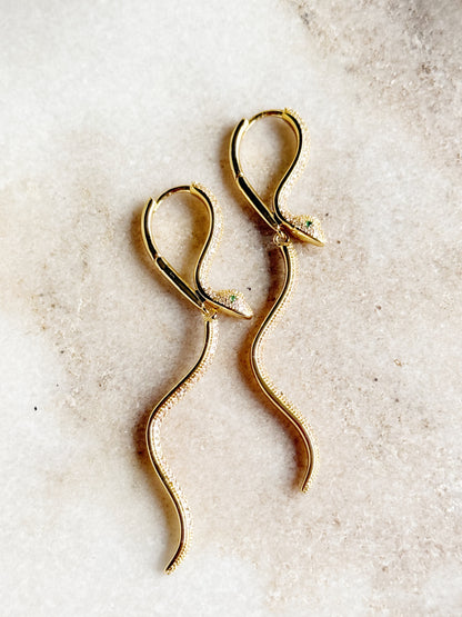 Auskarai "Pokyčio energija"