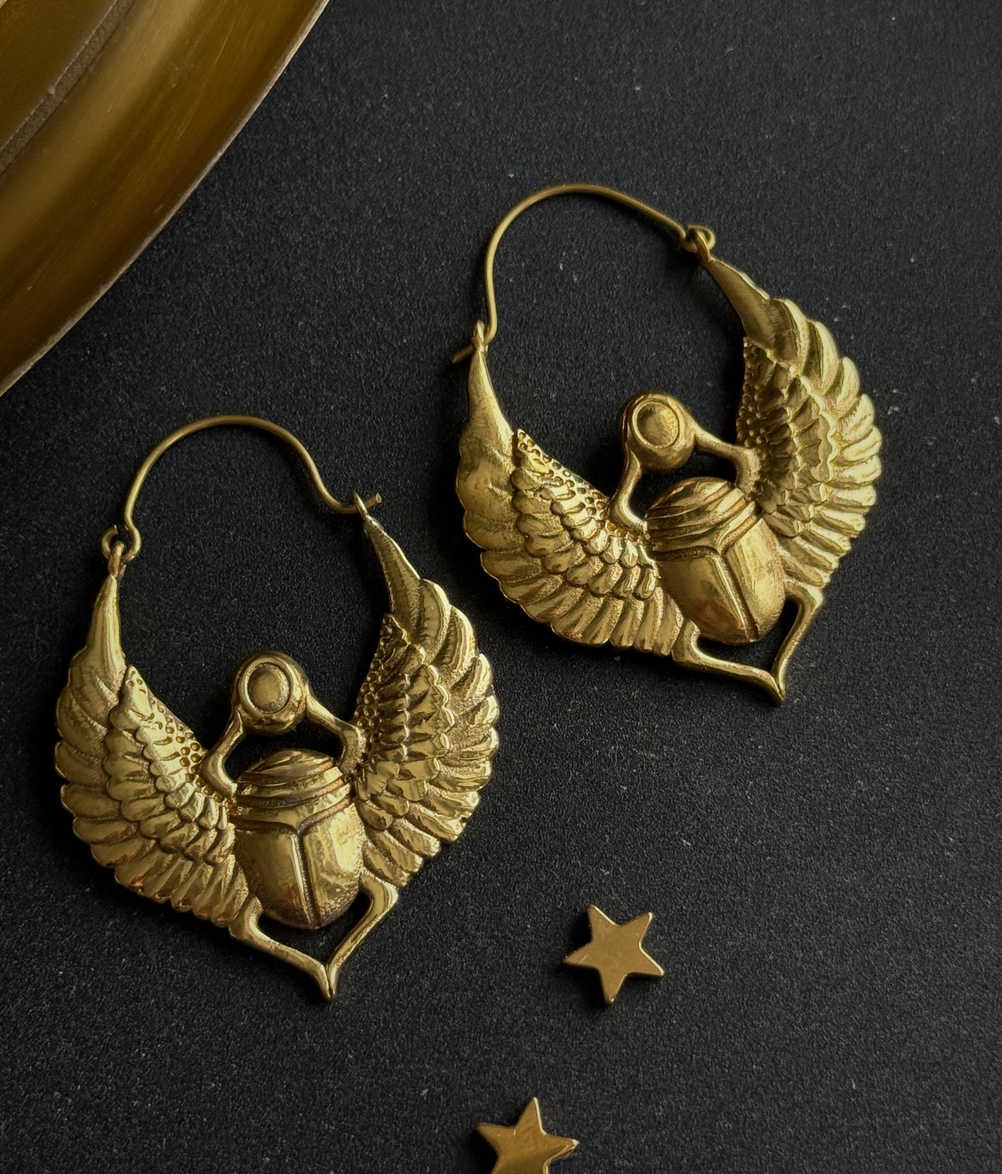 Auskarai "Sparnų sargas"