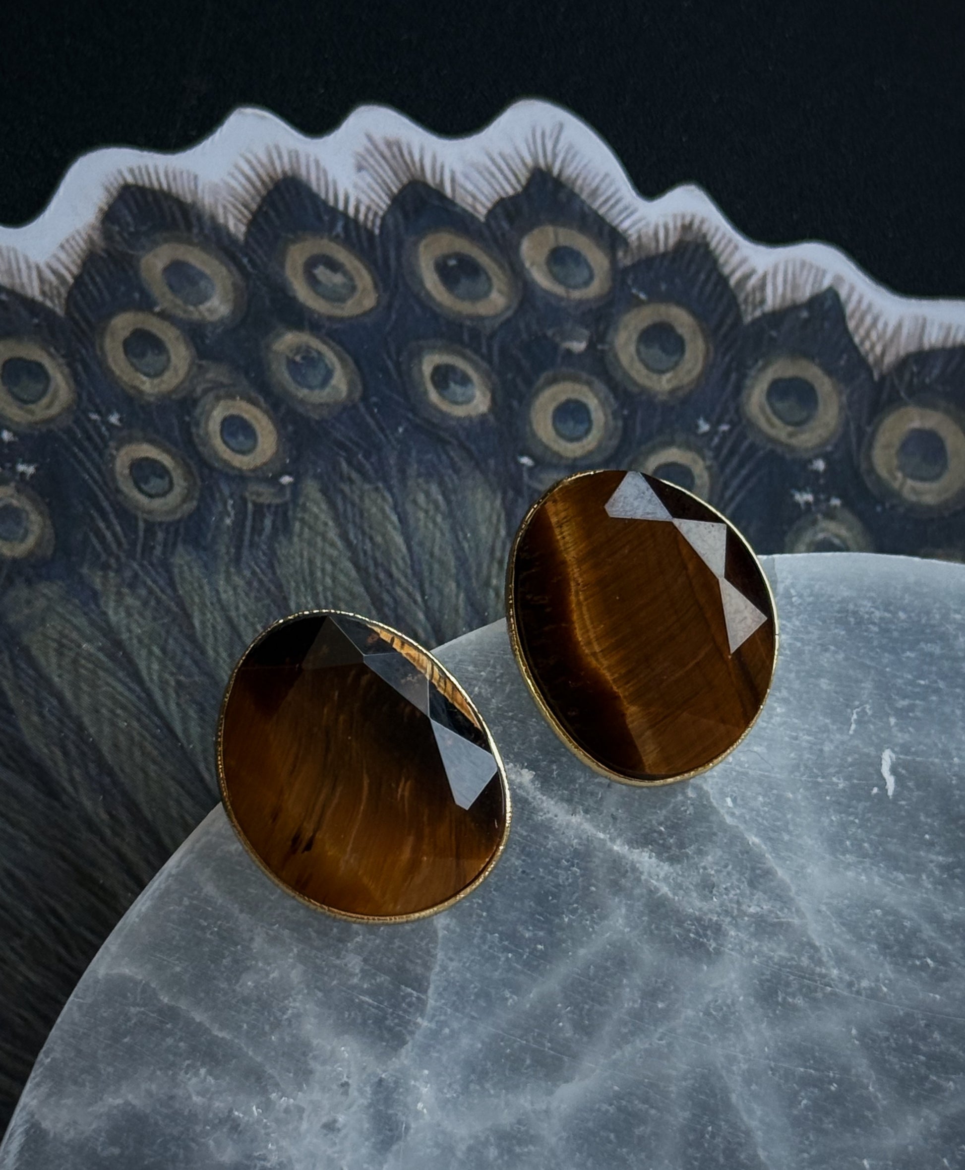 Auskarai su tigro akies kristalais