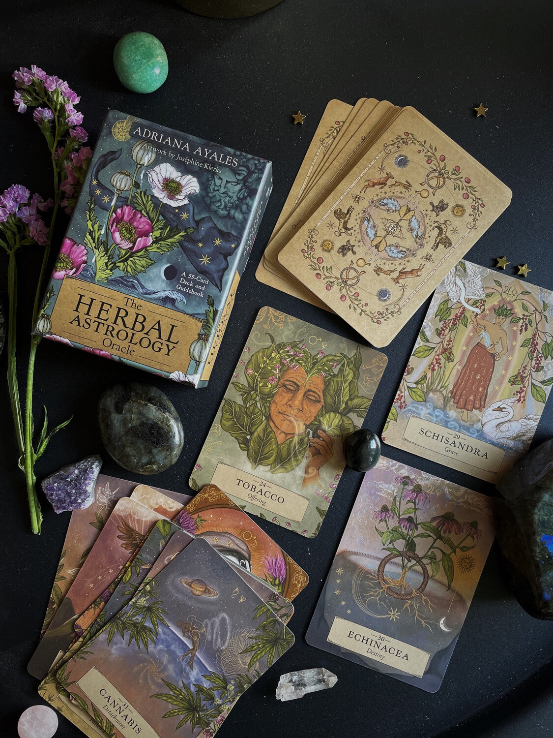 Kišeninio dydžio orakulo kortos „The Herbal Astrology"