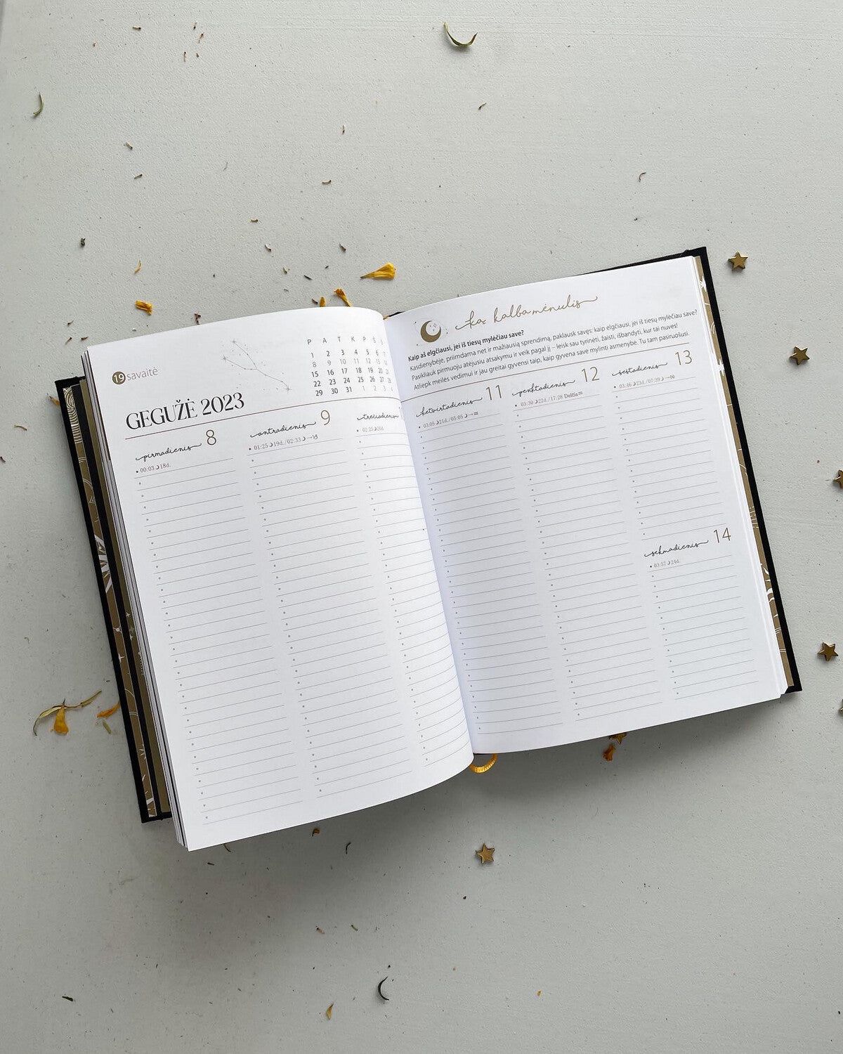 MĖNULIO darbo kalendorius 2026