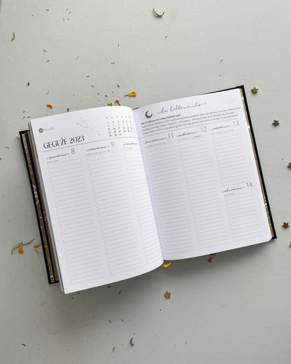 MĖNULIO darbo kalendorius 2026