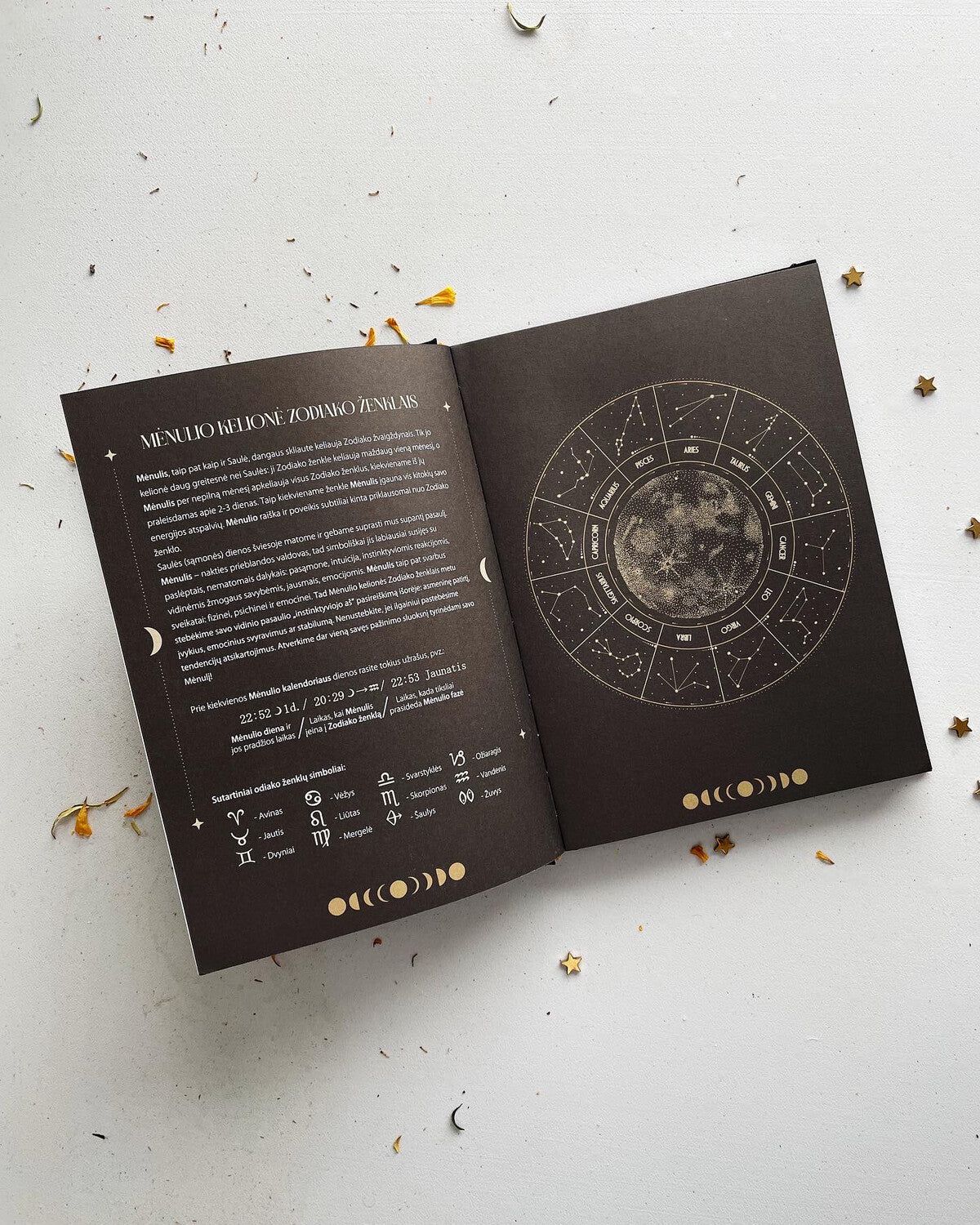 MĖNULIO darbo kalendorius 2026