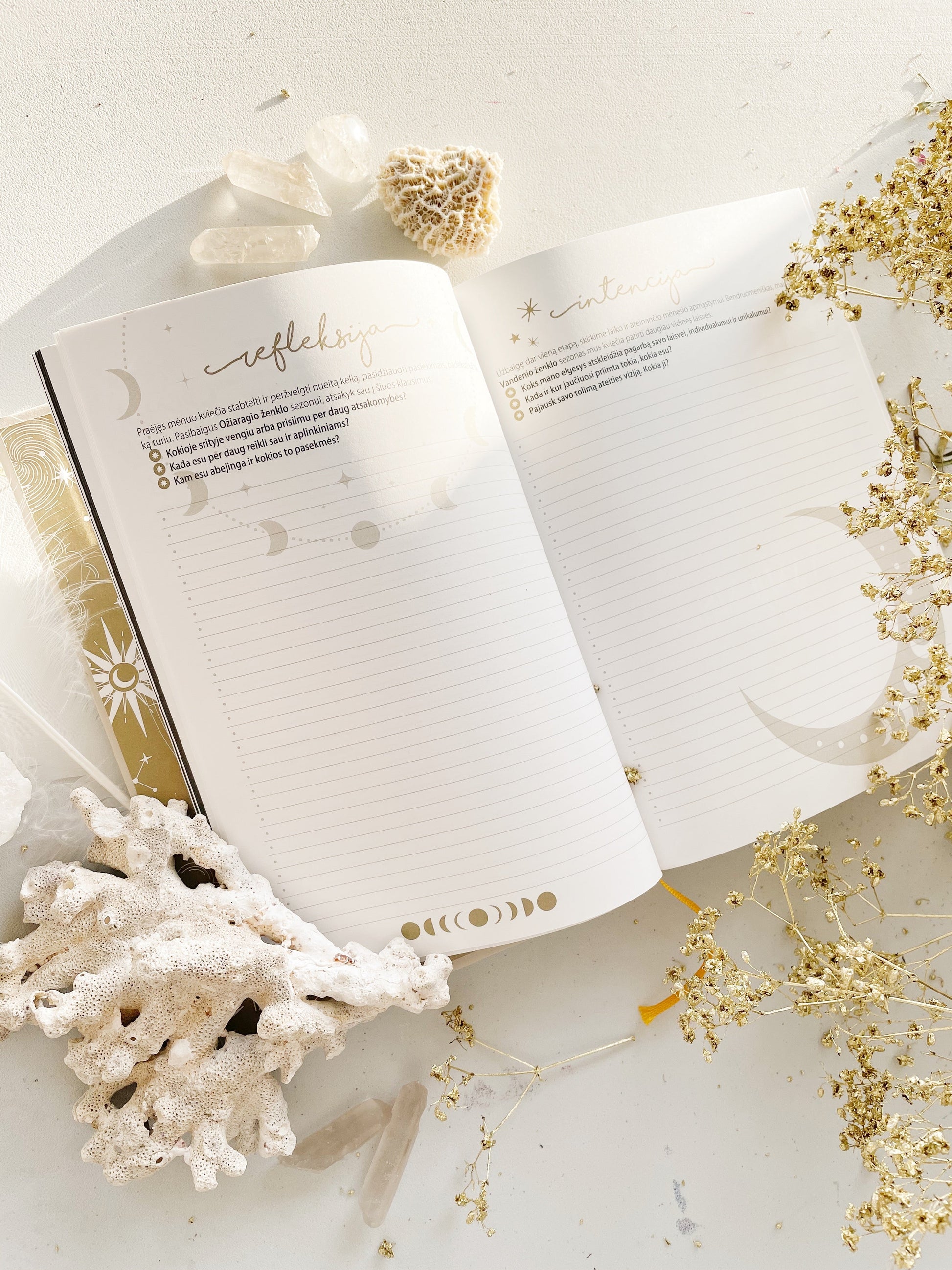 MĖNULIO darbo kalendorius 2026