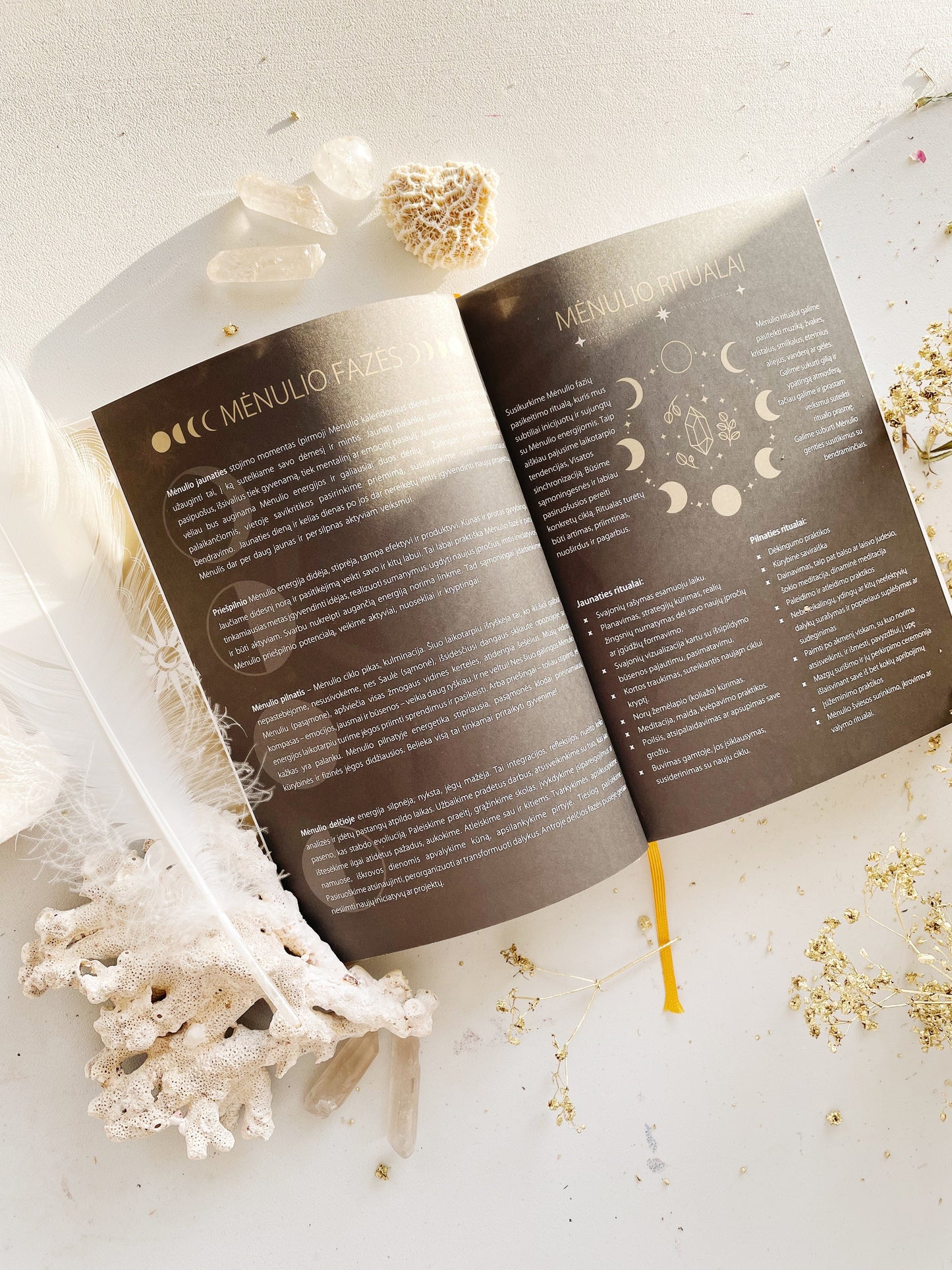 MĖNULIO darbo kalendorius 2026