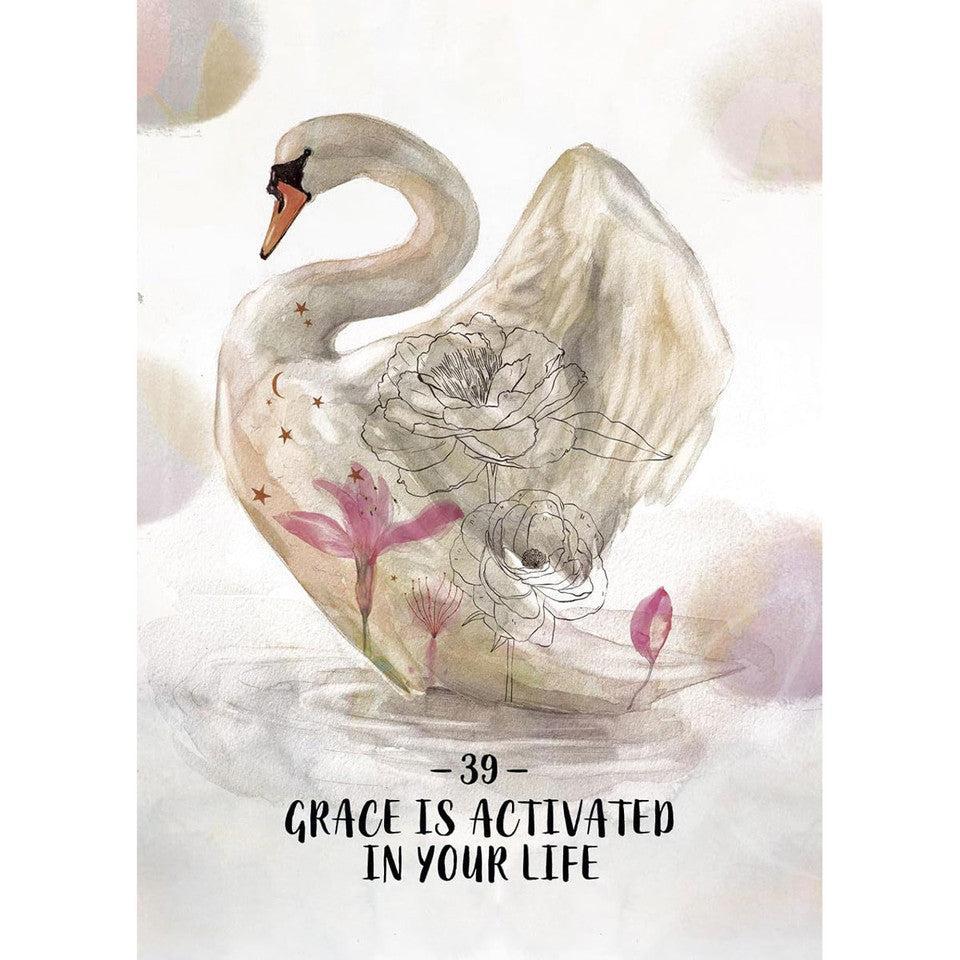 Orakulo kortos „Sisterhood of the Seers"