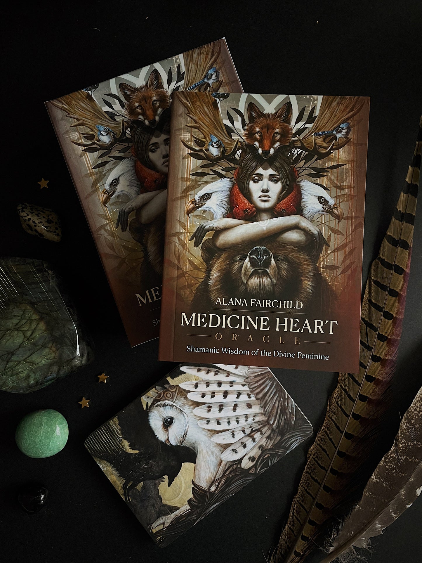 Šamaninės kortos „Medicine Heart Oracle"