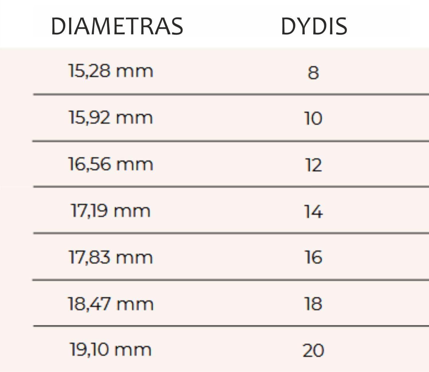 Sidabrinis žiedas su Granatu