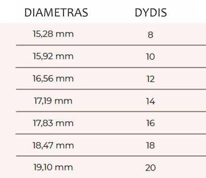 Sidabrinis žiedas su arbūziniu turmalinu / 20 dydis