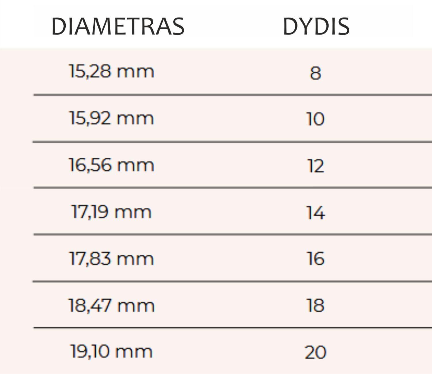 Sidabrinis žiedas su granatu