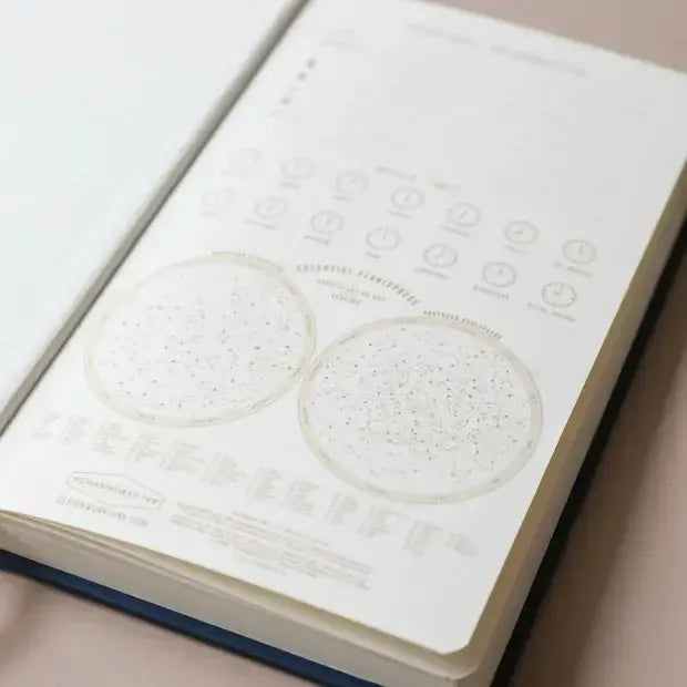 Užrašų knygelė "It is written in the Stars"