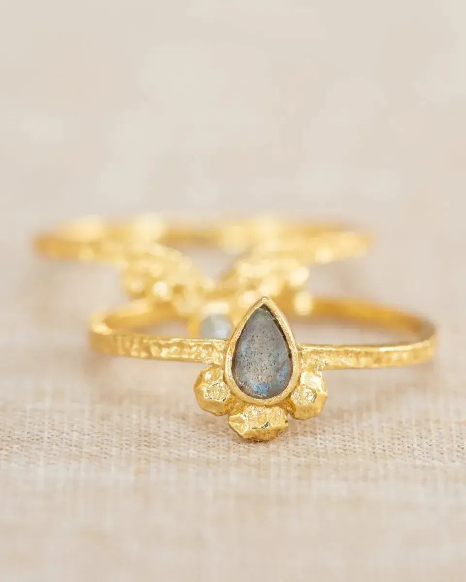 Žiedų duetas su labradorito ir topazo kristalais